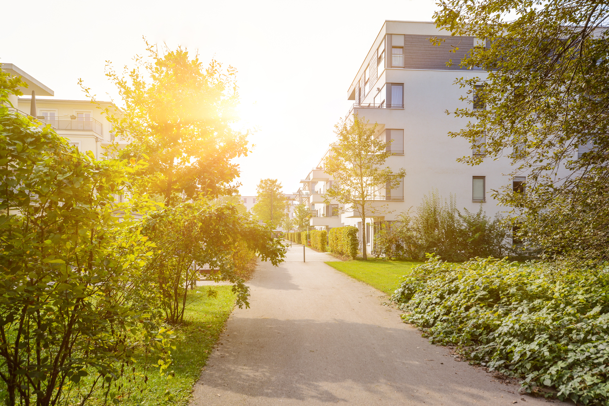 Modern building in summer